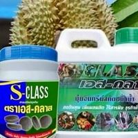 ชมรมเกษตรอินทรีย์ควนโดน สตูล