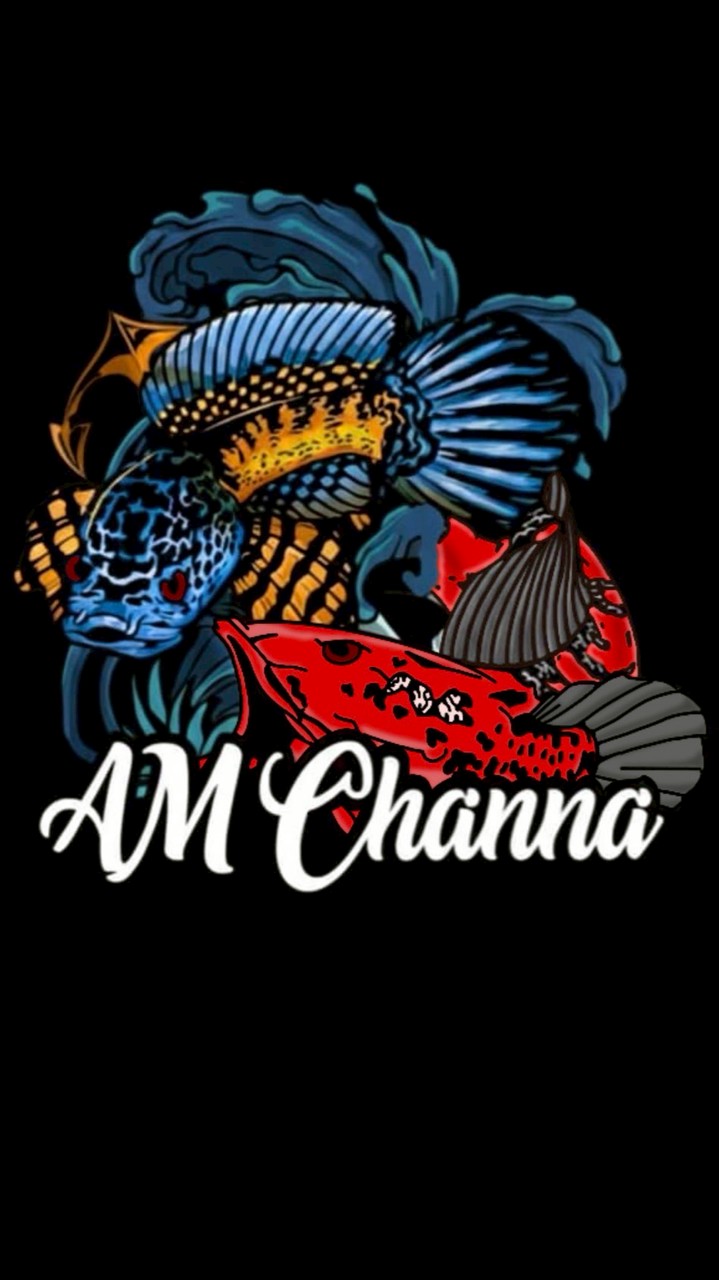 AM CHANNA