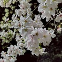 復縁した人したい人話を聞かせて