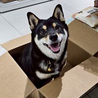 林口閒人