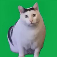 消されたんだけど⁉️ぜんゆるなり🥺※見学、見る専⭕️