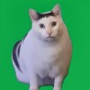 消されたんだけど⁉️ぜんゆるなり🥺※見学、見る専⭕️