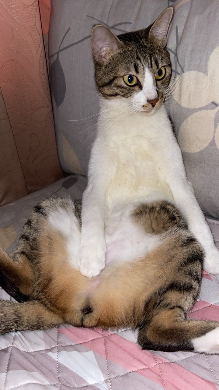 紹安老師學生群——素養提升