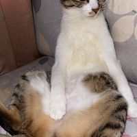 紹安老師學生群——素養提升