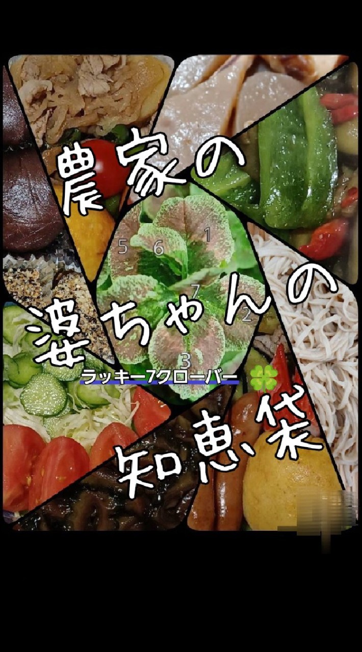 👩‍🌾家庭菜園応援👩‍🌾農家の婆ちゃんの知恵袋🥒🍅🍆🫑🧅その他