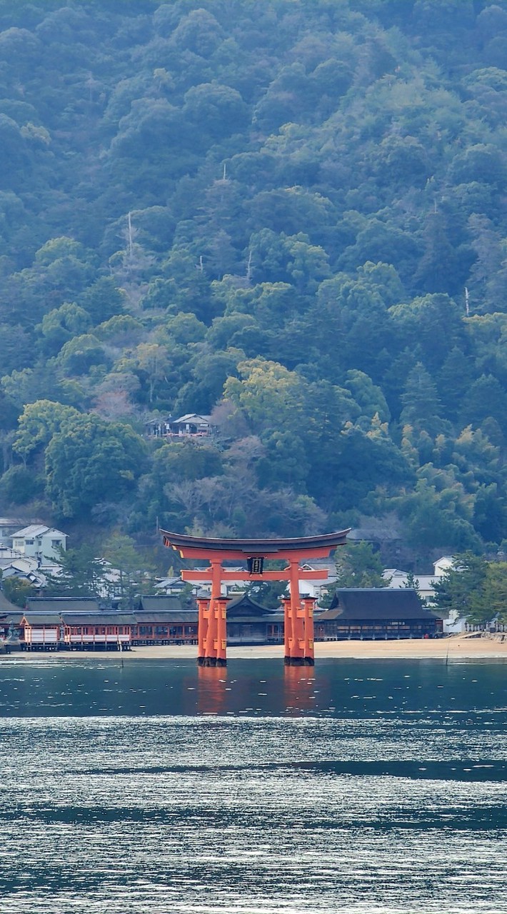 瑪那熊。日旅好伙伴
