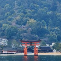 瑪那熊。日旅好伙伴