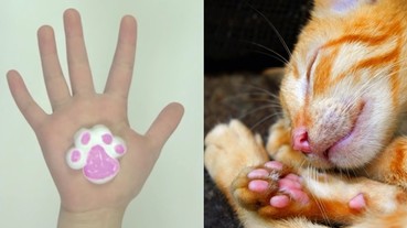 擠出來是肉球的形狀！日本動物園、機場設置造型洗手乳 網友：「為了它我願意常常洗手」