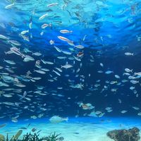 飼育員志望者交流会(動物園水族館)✏️自己紹介はノートへ！