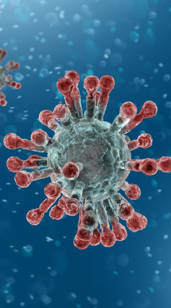 Corana Virus