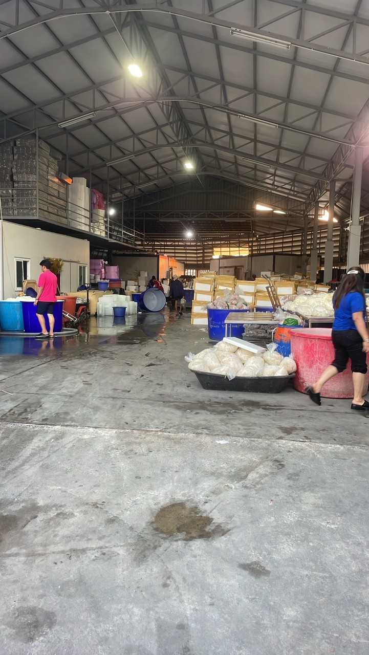 มี๊หมวย จอง🏘️พักเกาะล้าน 🦀🌟ฟรีส 🐷🐓🐙🥩สดเรทโรงงาน😎🙏🏻