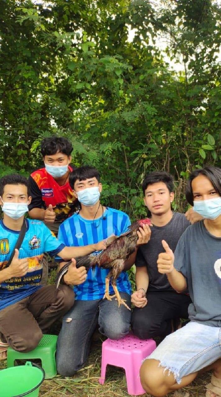 ซุ้ม ช.ไชย​บัว​แก้ว​ ก๋อย​-ตราด​-ง่อน​