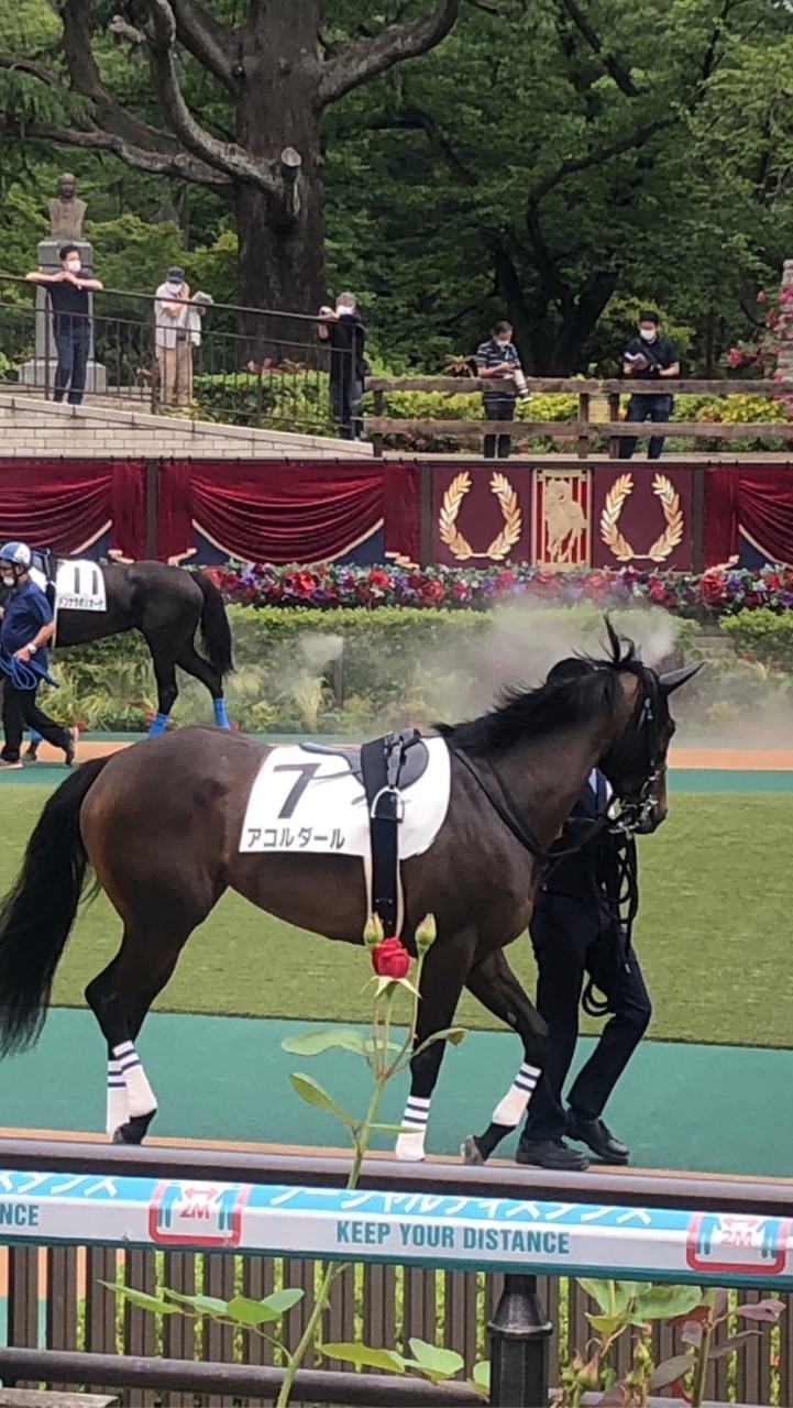 OpenChat カナ競馬　安田記念