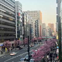 PEERLESS_JP 日本代購