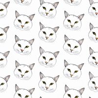 🐈靠ㄅ貓咪🐱