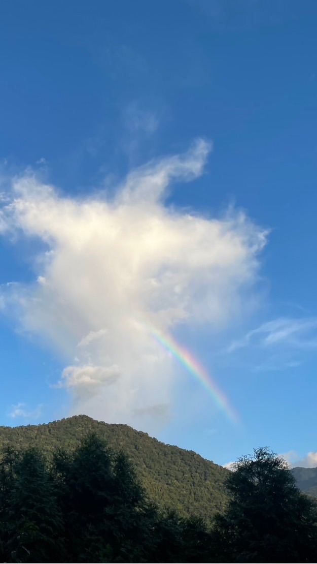偶爾玩玩