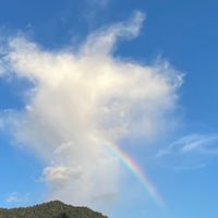 偶爾玩玩
