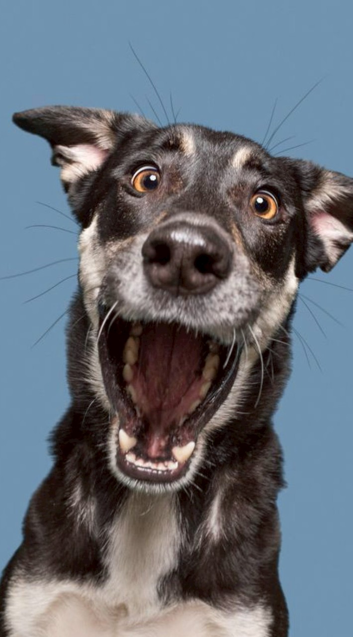 ภาษาอังกฤษ ม. 1/1