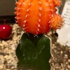 メンタルきつい方（相談and雑談など）