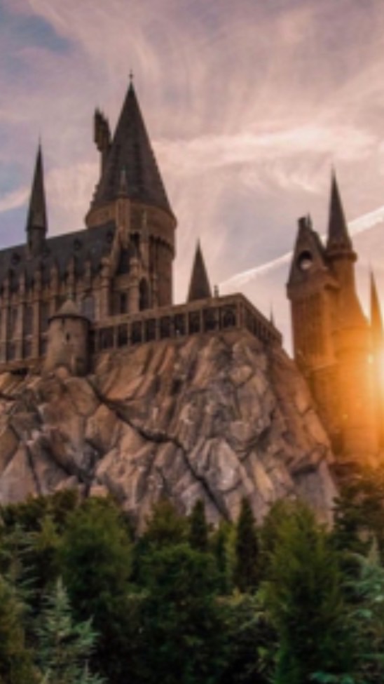 ハリポタなりきり