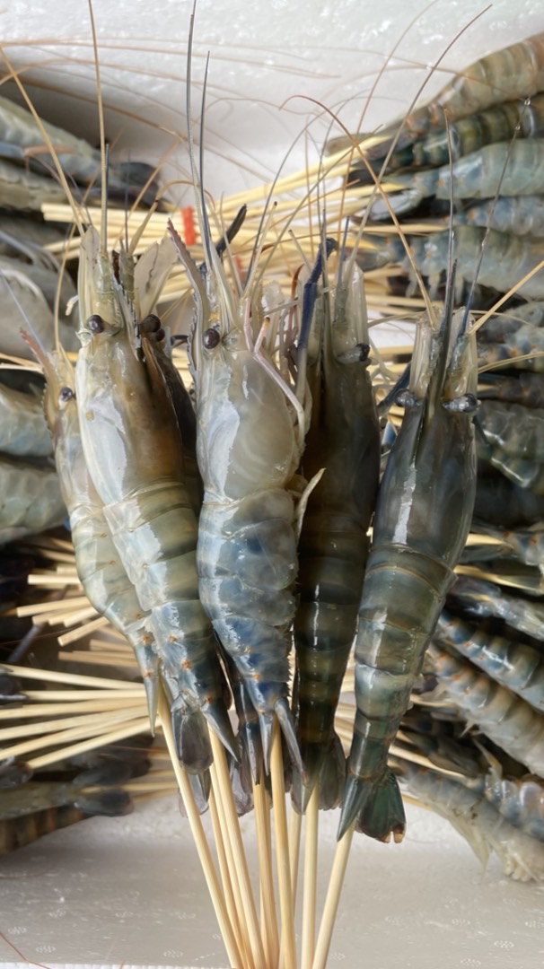 กุ้งเสียบไม้ราคาส่ง