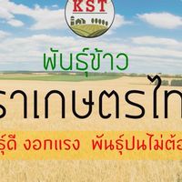 เกษตรไทยรุ่งเรือง2