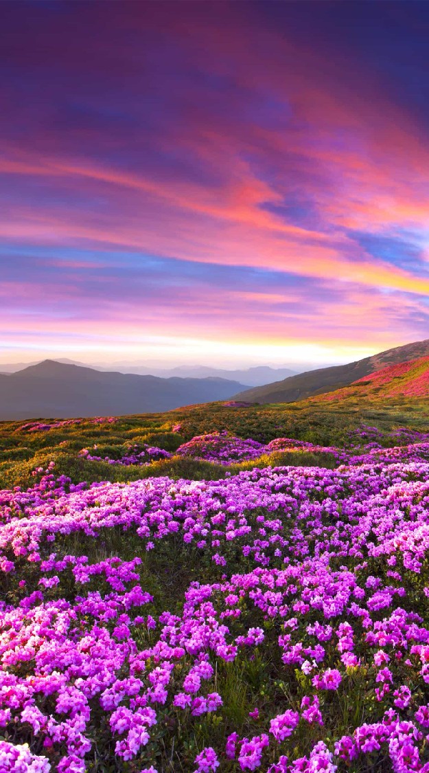 ช่วยกันนะหมอพร้อม