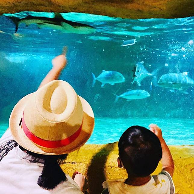 照片來源：IG @joecy_shie