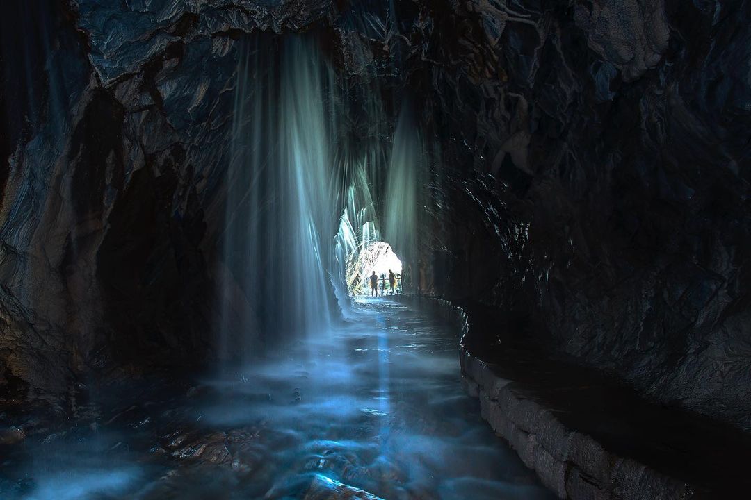 白楊步道 @osc Tw 