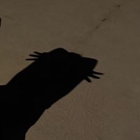 🐰韓國代購