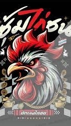 ชมรมคนรักไก่ชนทุกภาคทุกสนาม