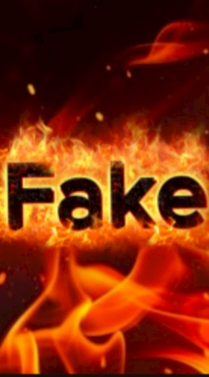 The Fake Roblox 1