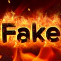 The Fake Roblox 1