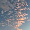 生活音＆Vlog垢抜け学園！