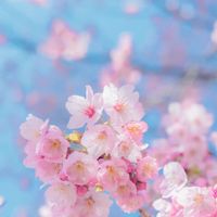 capital gainコミュニケーション