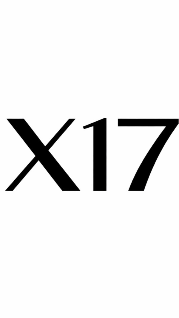 X17 代購選品