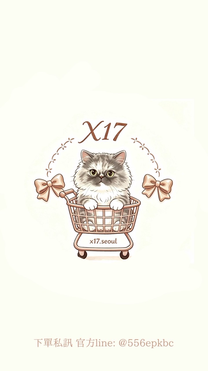 X17 韓國代購🇰🇷