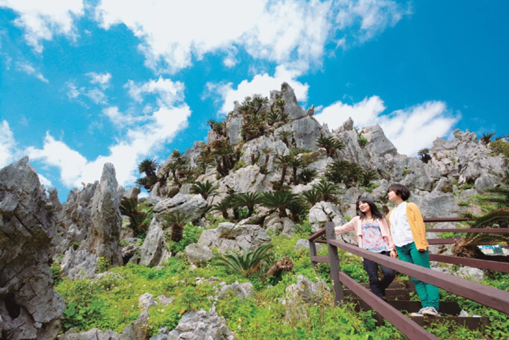 沖繩山原國立公園大石林山