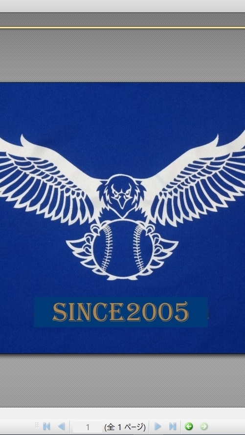 球磨F.Hawks 20th anniversary