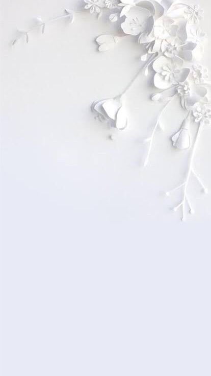 ซื้อ-ขาย-หา ทะเบียนรถสวย