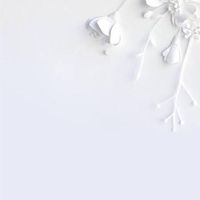 ซื้อ-ขาย-หา ทะเบียนรถสวย