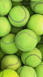 台中週間/下午網球：Taichung weekday afternoon tennis