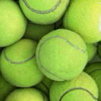 台中週間/下午網球：Taichung weekday afternoon tennis
