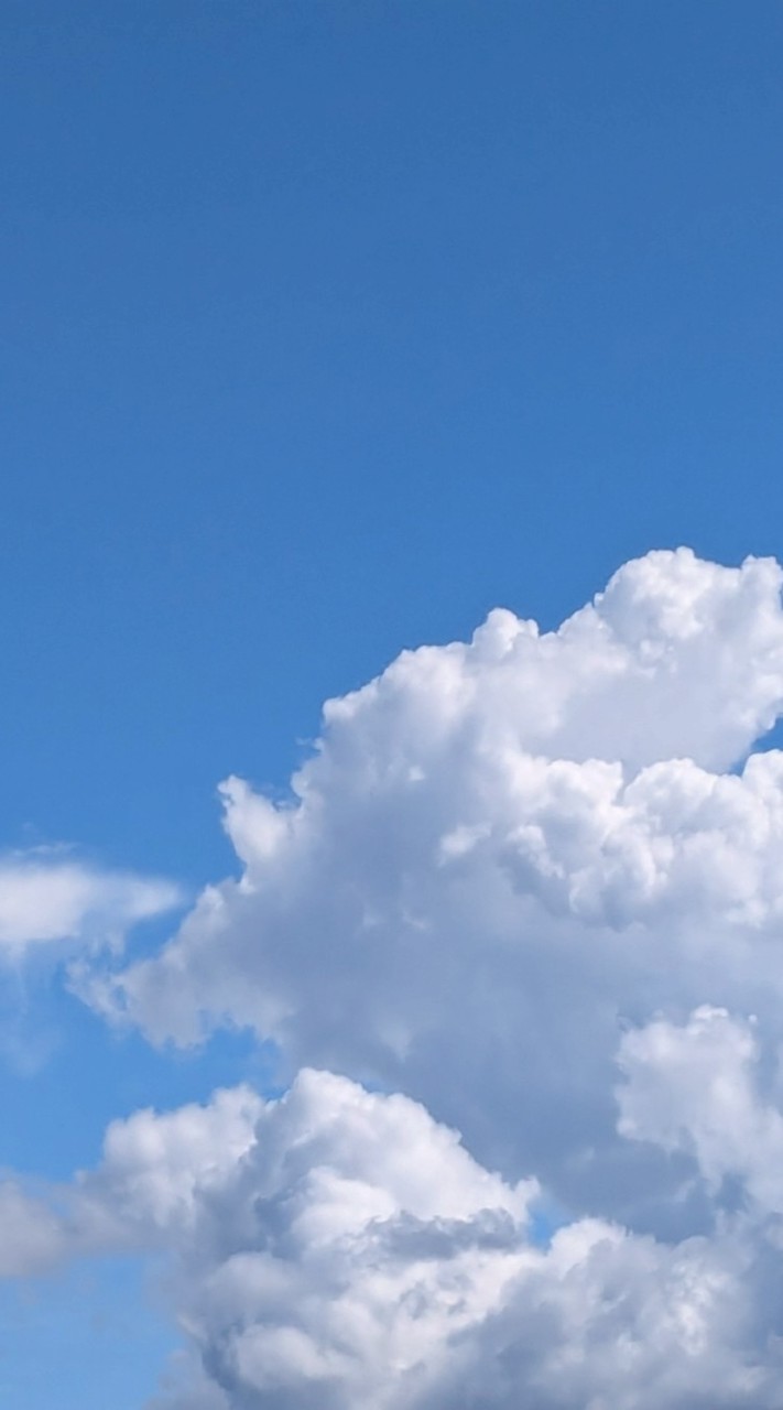 みかちゃんの音楽セラピーカフェ🫖🌿