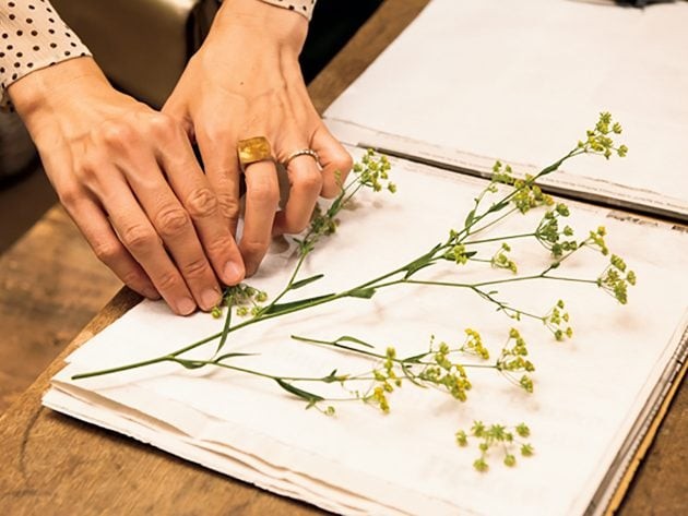 生け方から押し花アレンジメントの作り方まで 花を最後まで慈しむ方法 クロワッサン Online