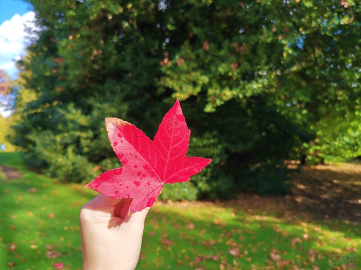 倫敦街頭實拍，HUAWEI Mate 20 Pro 矩陣式排列三鏡頭之超廣角、長焦鏡頭使用心得分享