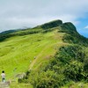 Weiwei健康生活小天地