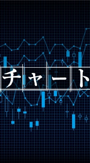 【マジで為になる】投資初心者の為の解説所