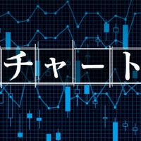 【マジで為になる】投資初心者の為の解説所