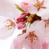 [学生限定]雑談しよう！